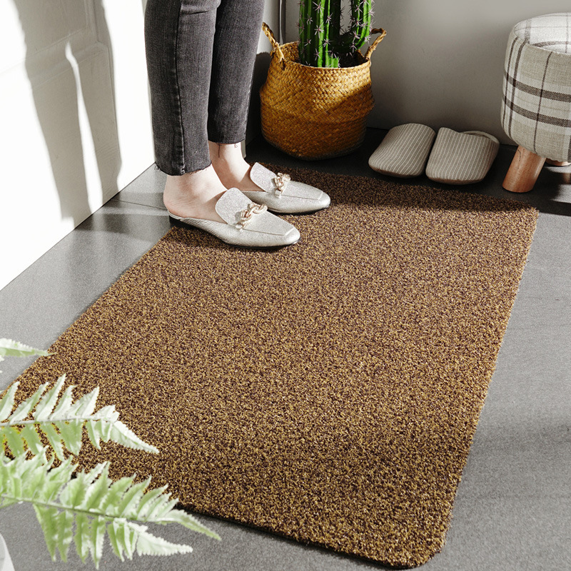 Household dust removal mat